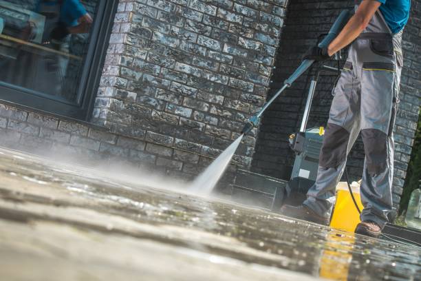 Best Soft Washing  in Gasport, NY