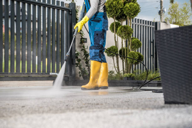 Professional Pressure Washing in Gasport, NY